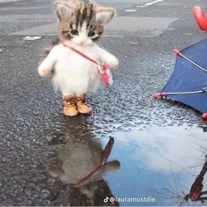 Meet your Posher, Ari